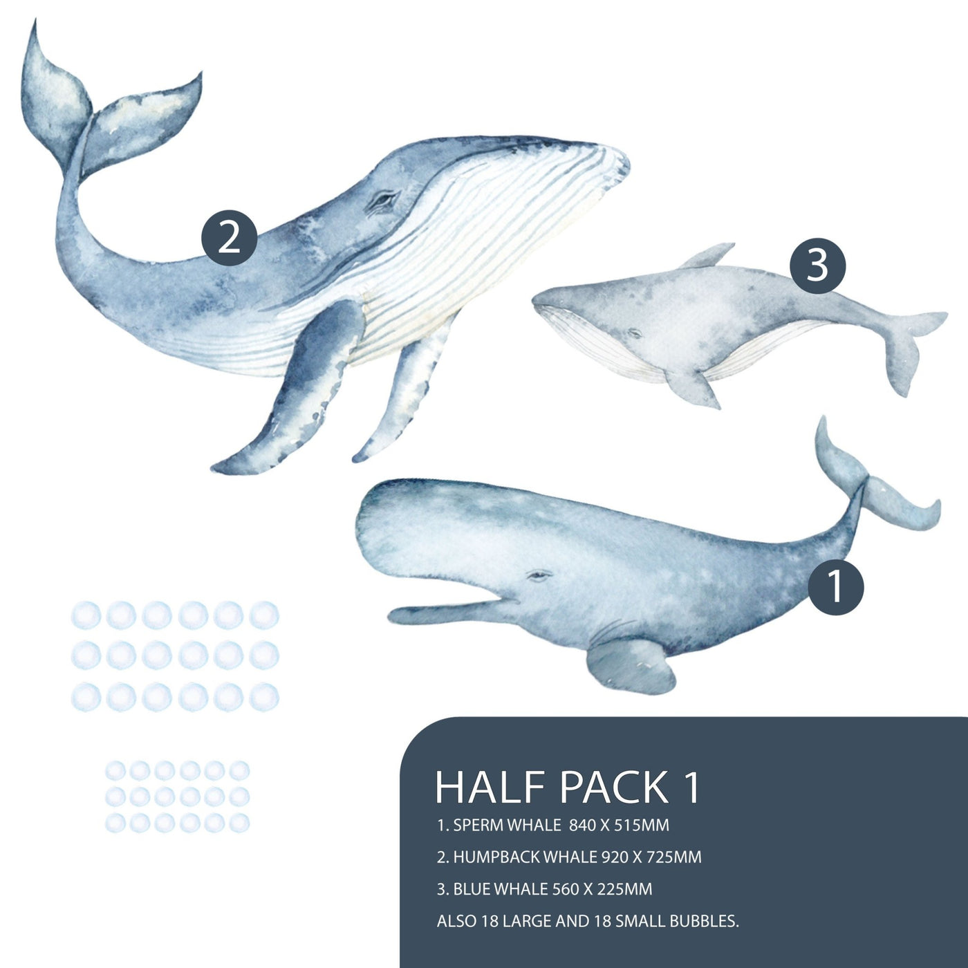 Whales and Bubbles Wall Decals - Jack Harry and Ollie