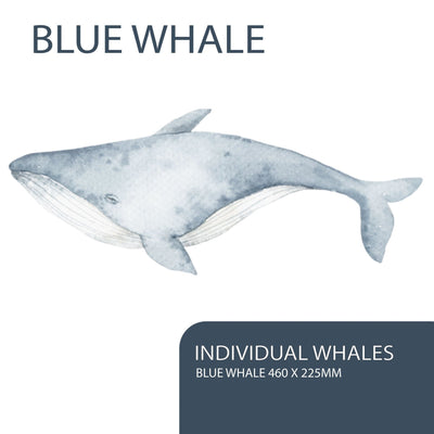 Whales and Bubbles Wall Decals - Jack Harry and Ollie